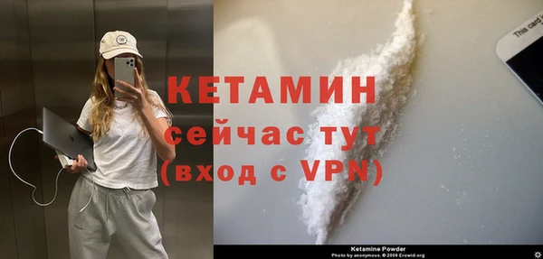 стаф Аркадак