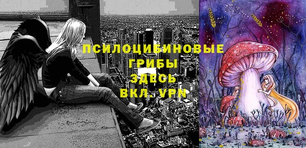 стаф Аркадак