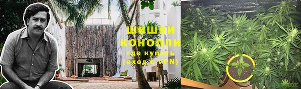 СК Арсеньев