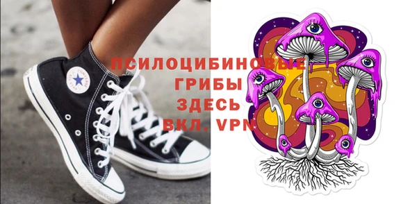молекула духа Алзамай
