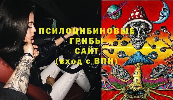 стаф Аркадак