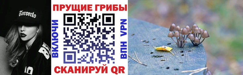 Галлюциногенные грибы мухоморы  Ивдель 